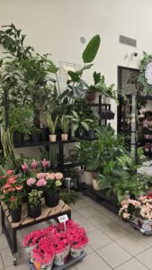 aranżacja wnętrz zielenią